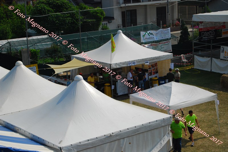 DSC_4937.JPG